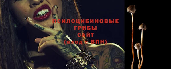 ECSTASY Богданович