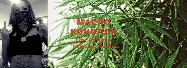 ECSTASY Богданович