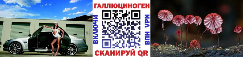 Купить  Александров  Псилоцибиновые грибы ЛСД 